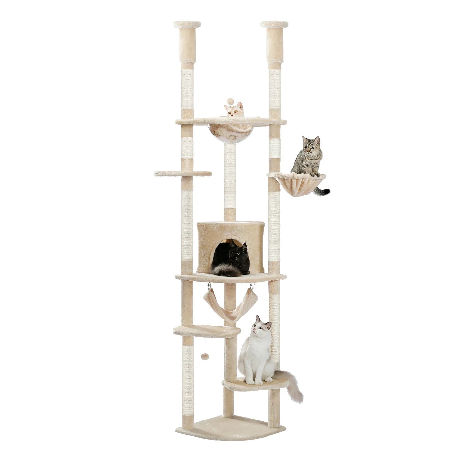 Arbre à chat Auralis — Sol-plafond ajustable & repos suspendu