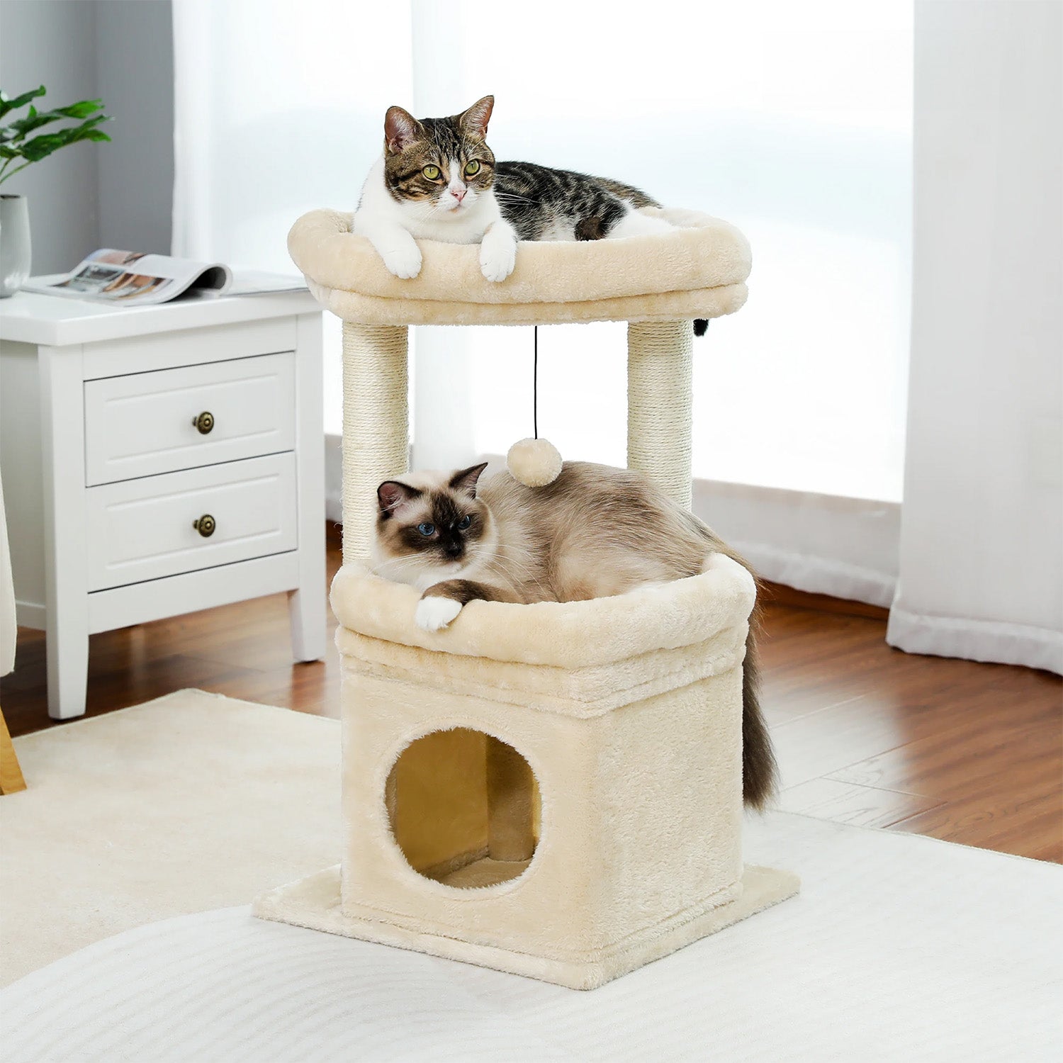 Arbre à chat Luno — Niche basse & repos compact