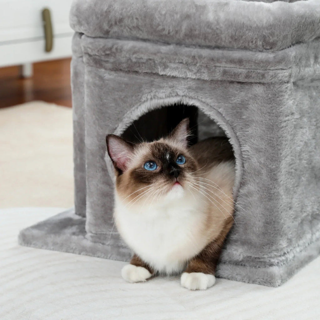 Arbre à chat Luno — Niche basse & repos compact
