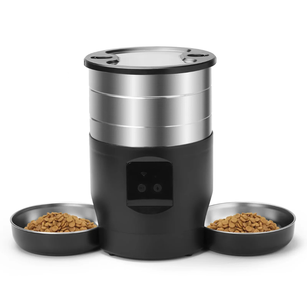 Distributeur de croquettes Miroa — Double repas & routine apaisée