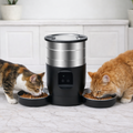 Distributeur de croquettes Miroa — Double repas & routine apaisée